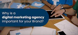 Why Digital Marketing Agency is Important for Every Bussiness